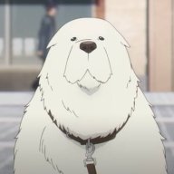 LynxPogi